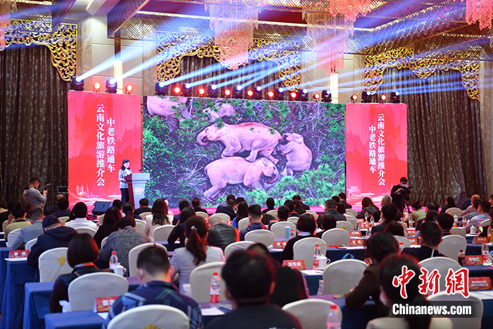 云南省在西双版纳州举行文化旅游推介会