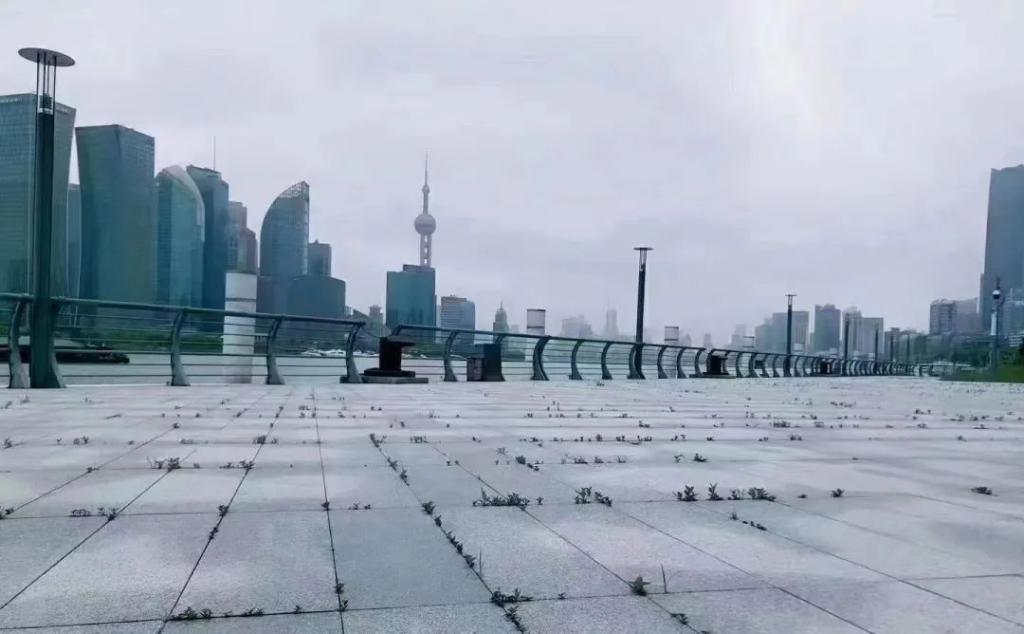 我在百度上海吧里，看到了疫情最真实的模样