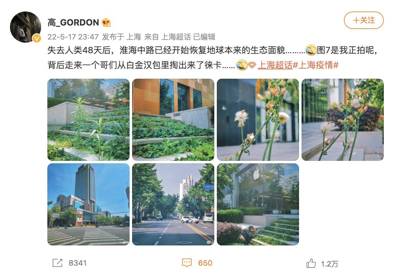 五月中的淮海中路2.png