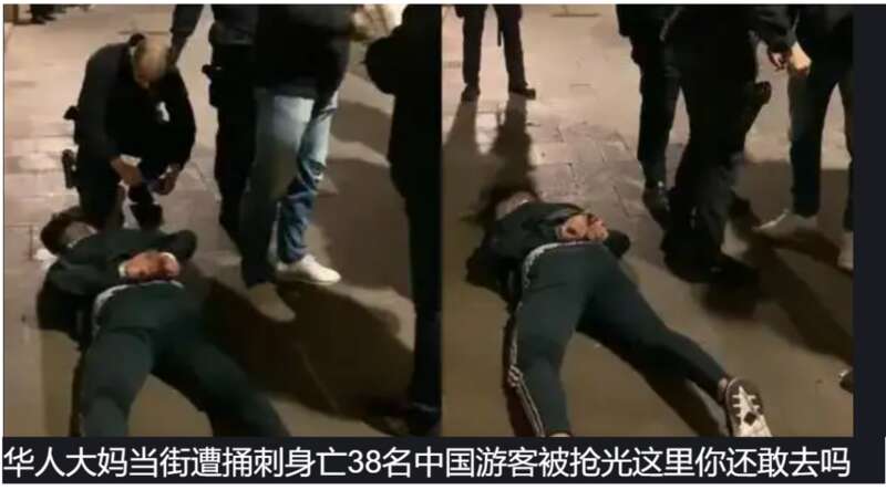 带着钱去一个陌生的地方，和一群海盗后代一起生活