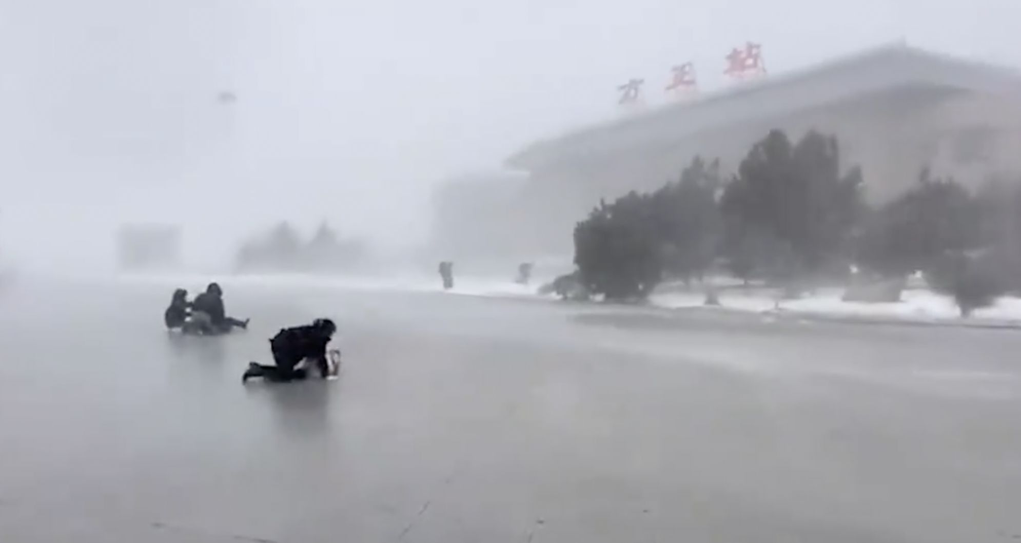 被吹倒的民众