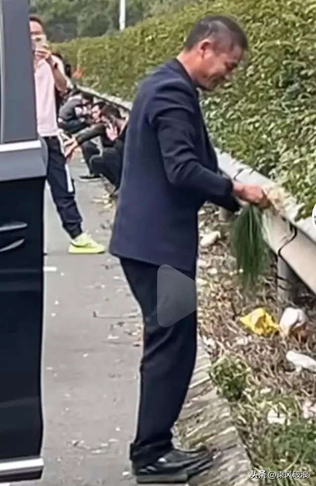 拔了路边的草，准备吃