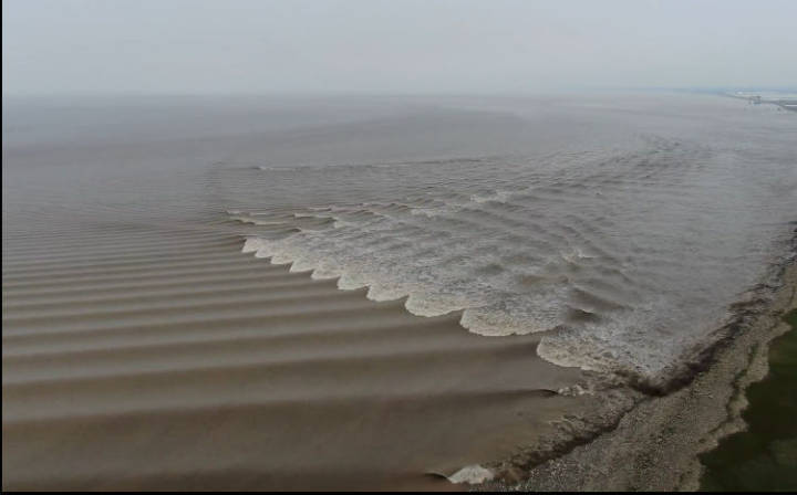 鱼鳞潮