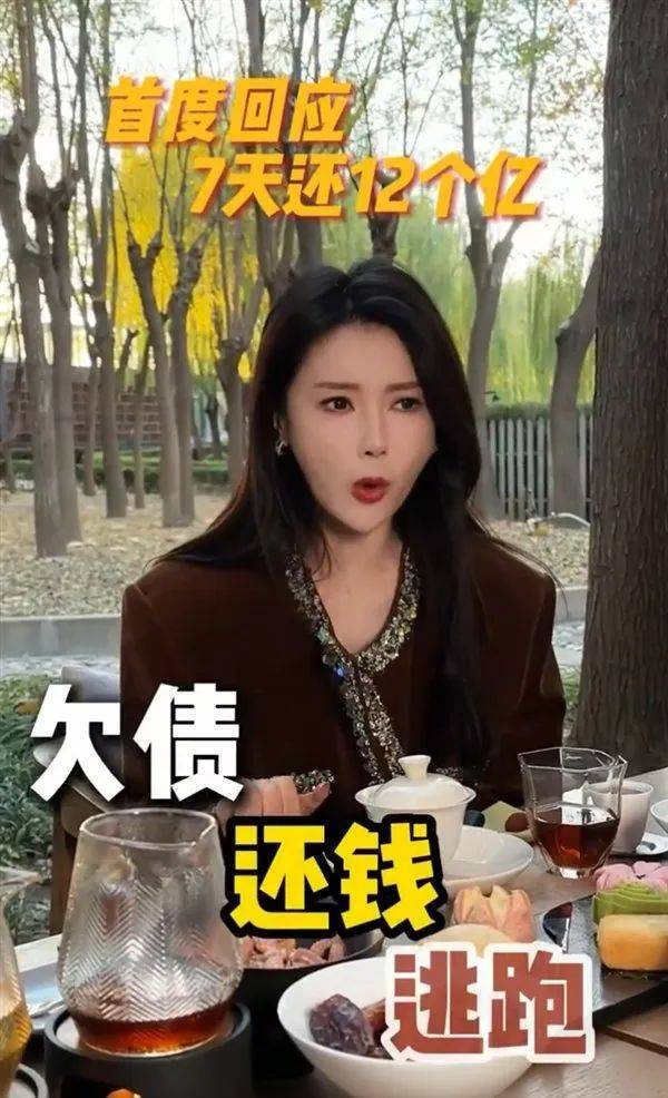 贾跃亭前妻甘薇回应“7天还12亿” 2.jpg
