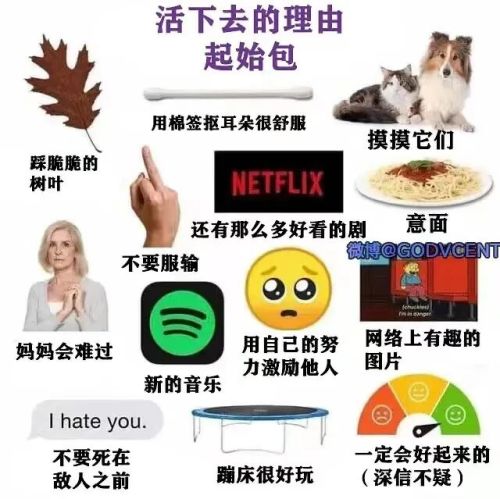 活下去的理由