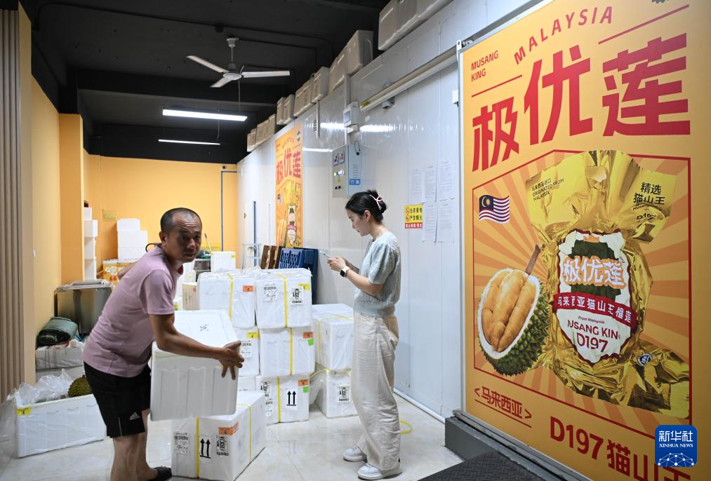 10月17日，在广州白云区一家水果经销商的运营中心，工作人员整理刚到货的榴莲鲜果 ...